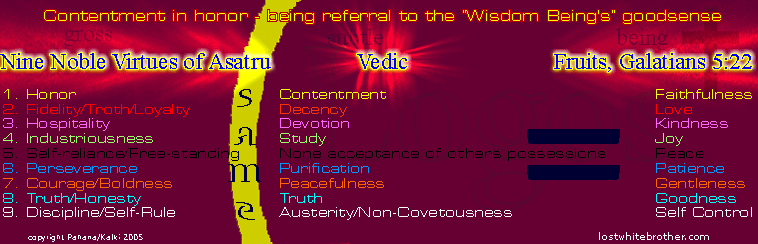 Nine Noble Virtues Elements Breakdown